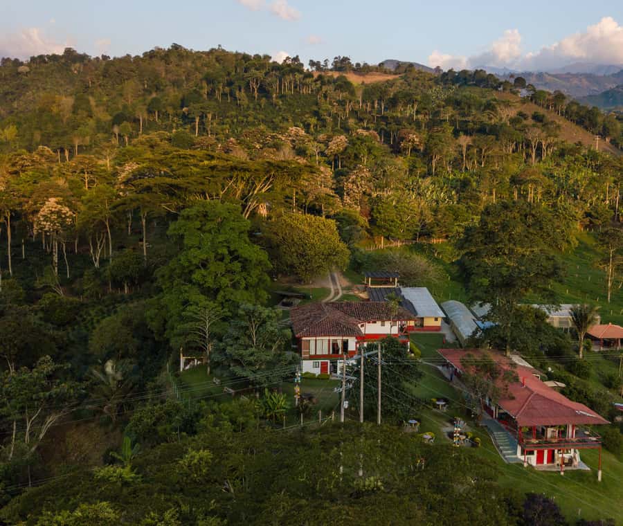 Coffee Farm Tour at Finca El Ocaso from Salento - What the $93 price gets you