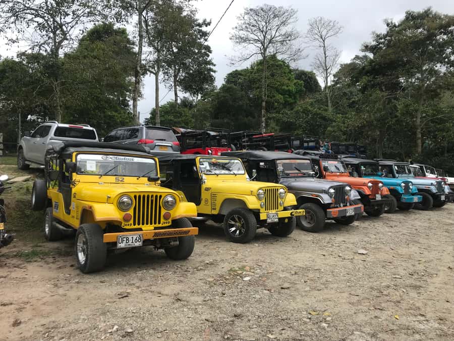 Coffee Farm Tour at Finca El Ocaso from Salento - Which departure should you choose?