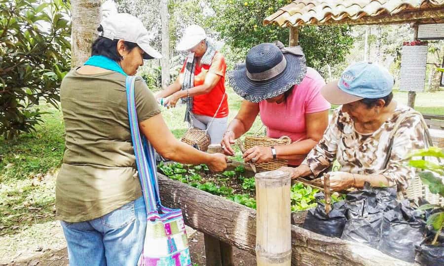 Coffee Farm Tour at Finca El Ocaso from Salento - Who will enjoy this farm visit most?
