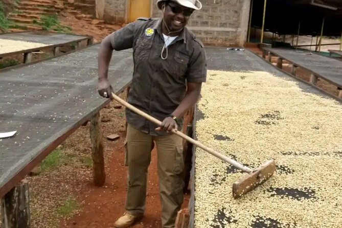 Coffee farm tour, coffee roasting and tasting experience - Is $35 good value?
