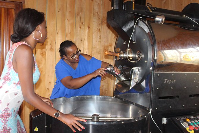 Coffee farm tour, coffee roasting and tasting experience - Walking among the coffee trees