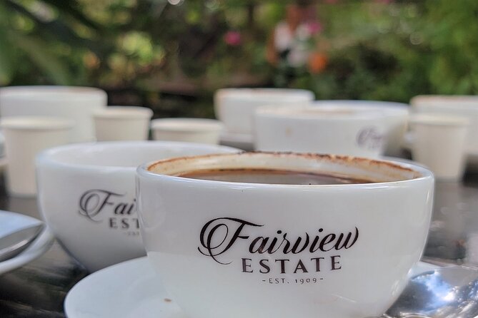Coffee Farm Tour (Fairview) - Leaving Nairobi for Kenya’s coffee country