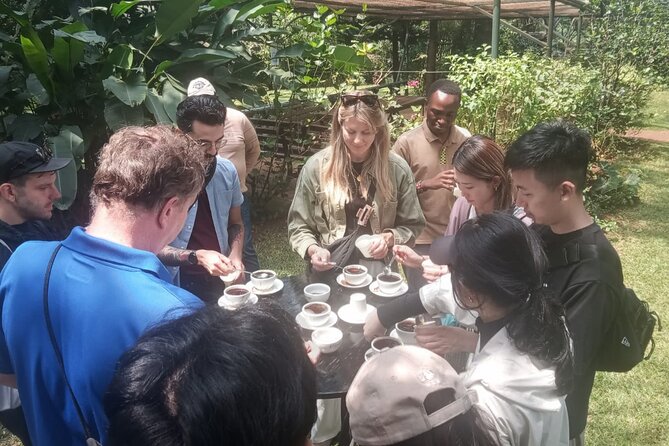 Coffee Farm Tour (Fairview) - The guides make the difference