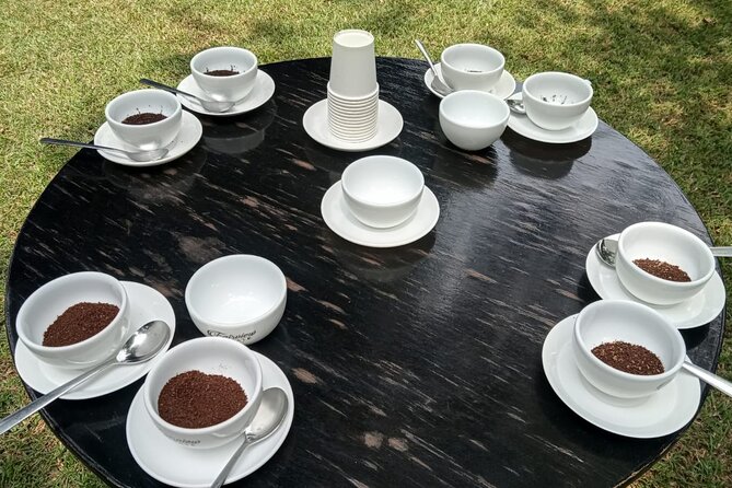Coffee Farm Tour (Fairview) - Is the $39 price good value?