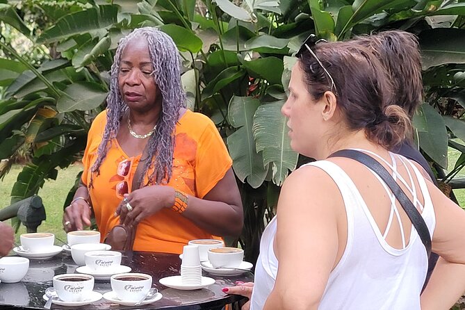 Coffee Farm Tour (Fairview) - Fairview Estate and its highland setting