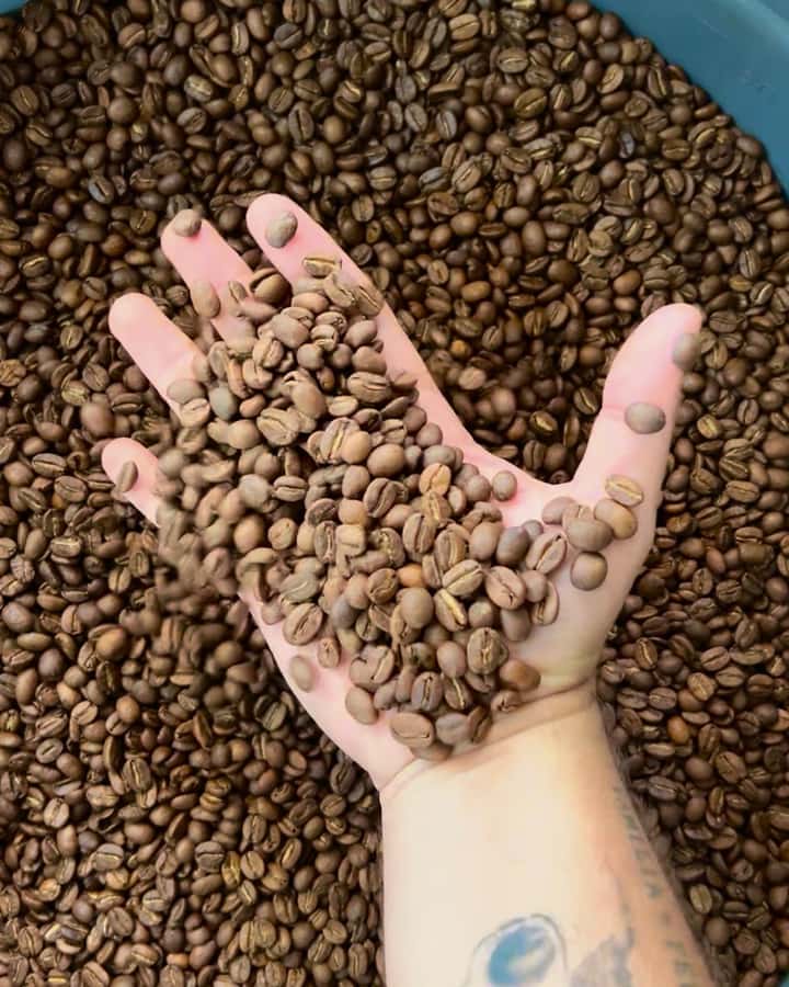 Coffee Tour Salento-Ocaso Farm- English Tour - Key points to know before you go