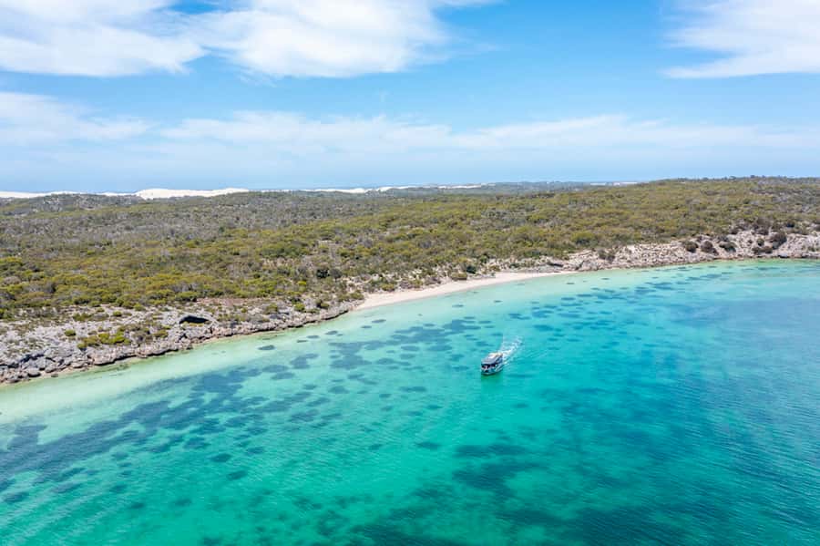 Coffin Bay: Oyster Farm Boat Tour with Wading & 12 Oysters - Why This Coffin Bay Tour Feels Different