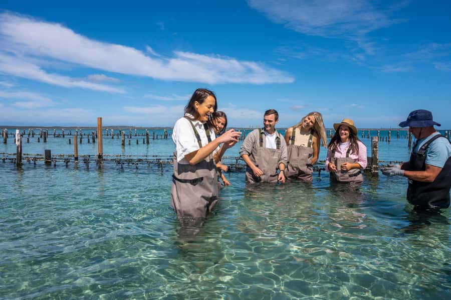 Coffin Bay: Oyster Farm Boat Tour with Wading & 12 Oysters - Wading Through the Oyster Beds