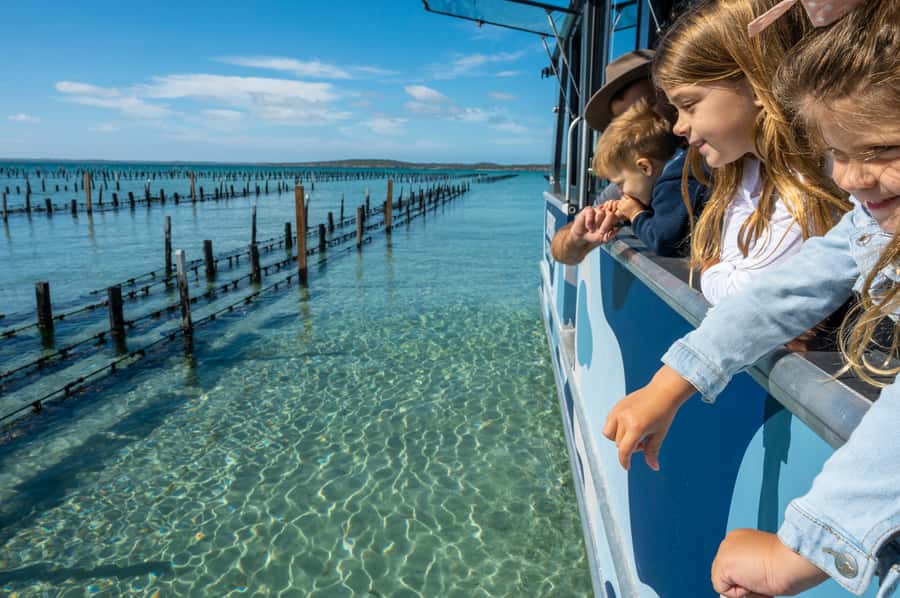Coffin Bay: Oyster Farm Boat Tour with Wading & 12 Oysters - A Dozen Oysters Shucked Fresh on the Boat