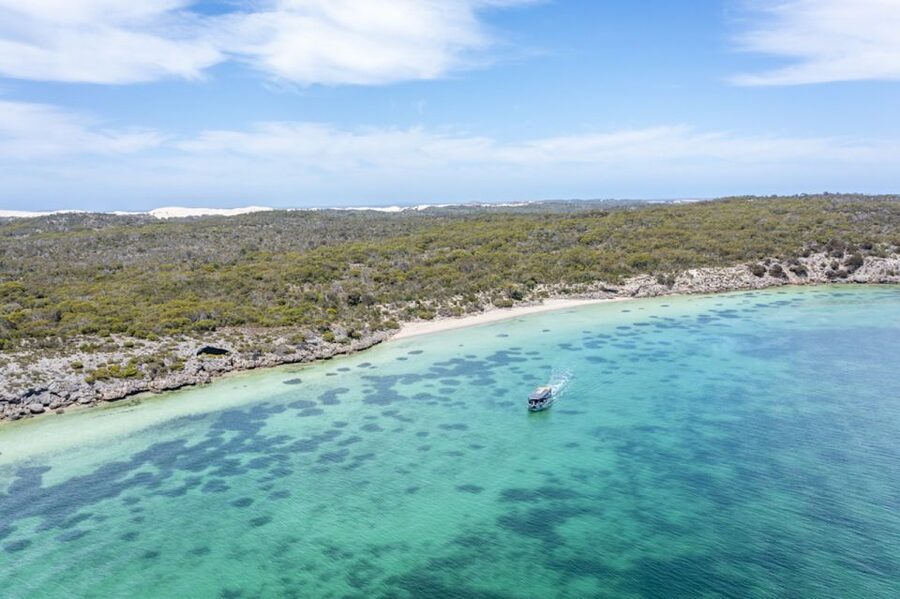 Coffin Bay: Oyster Farm Boat Tour with Wading & 12 Oysters - Is $130 Good Value?