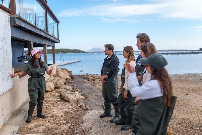 Coffin Bay Oyster Farm Wading Tour & Tasting Experience - Tasting Pacific and native Angasi oysters