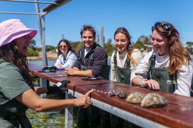 Coffin Bay Oyster Farm Wading Tour & Tasting Experience - Wildlife, local character, and time in Coffin Bay