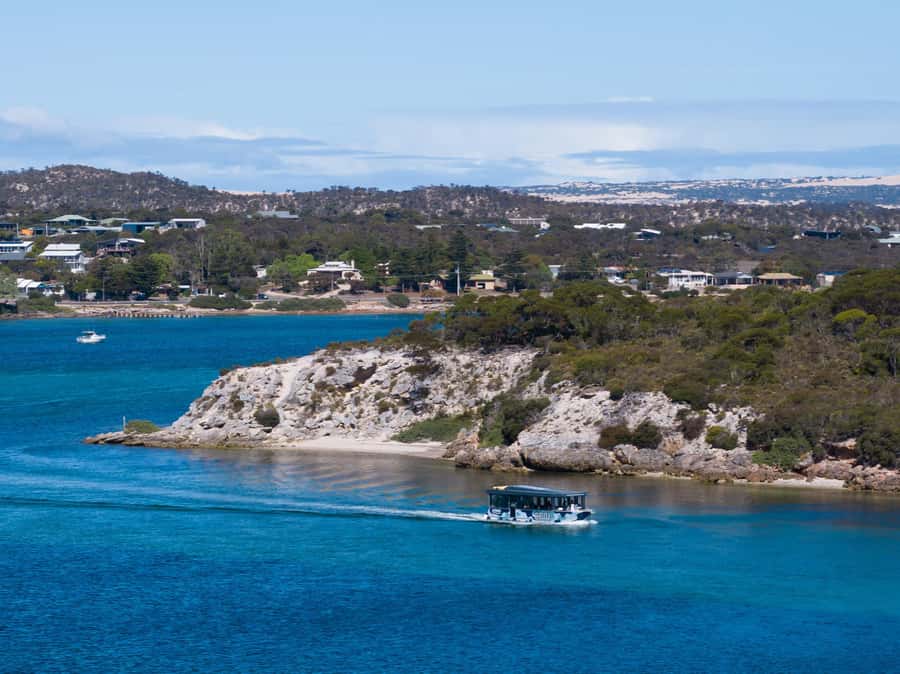 Coffin Bay: Short and Sweet Oyster Farm Tour - The first 15 minutes: Coffin Bay from the water