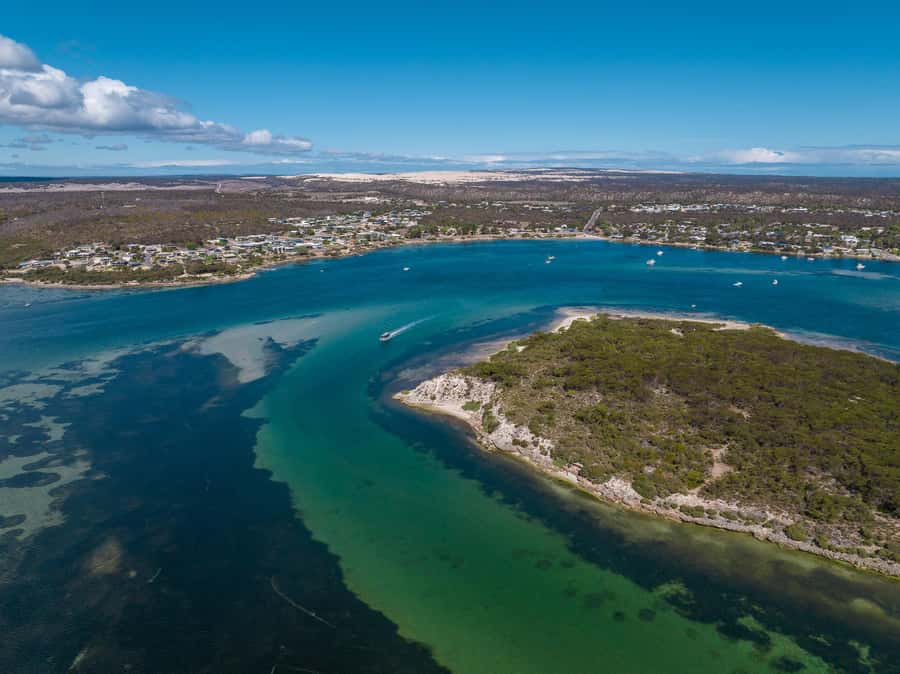Coffin Bay: Short and Sweet Oyster Farm Tour - About an hour at the oyster farm and viewpoint