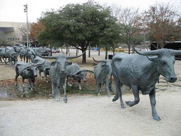 Combination Southfork Ranch and Dallas/JFK Highlights Tour - Key points before you book