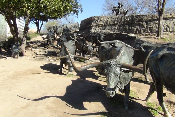 Combination Southfork Ranch and Dallas/JFK Highlights Tour - Guide quality and the human side of the tour