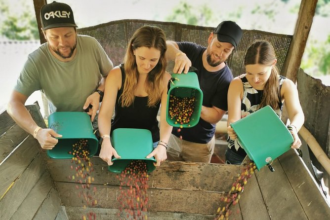 Comuna 13 & Coffee Farm Private Tour in Medellin | The Best Combo - Comuna 13 and the 350 stairs replaced by escalators