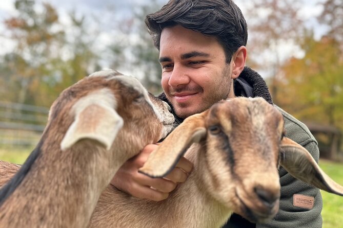 Connect with Rescue Animals on a Private Farm Tour in Catskills - Jake’s introduction to the rescued animals
