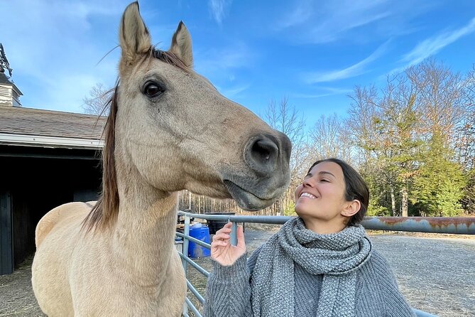 Connect with Rescue Animals on a Private Farm Tour in Catskills - What the $97.50 group price really means