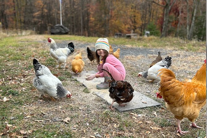 Connect with Rescue Animals on a Private Farm Tour in Catskills - Weather, clothing, and practical expectations