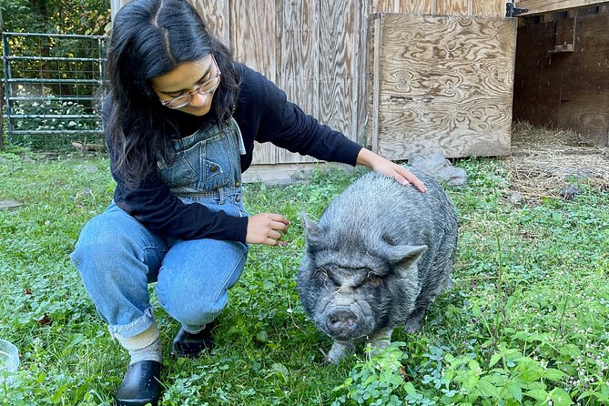 Connect with Rescue Animals on a Private Farm Tour in Catskills - Who will enjoy this farm tour most