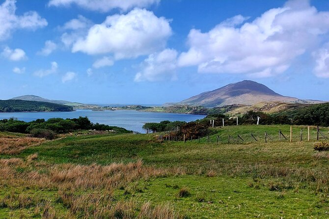 Connemara Sheep Farm experience & Kylemore Abbey by Lux Limousine - Killary Sheep Farm and the working side of Connemara