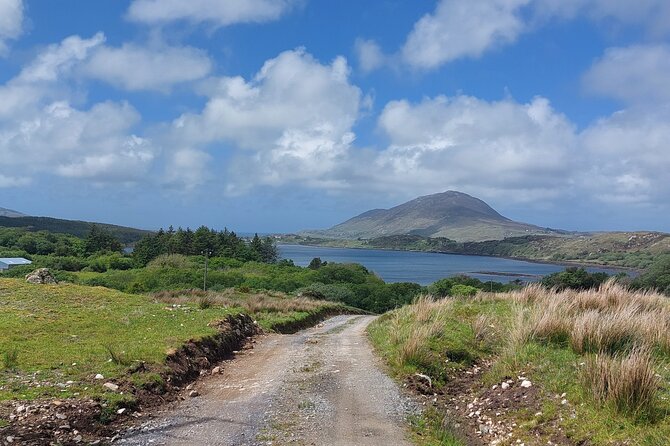 Connemara Sheep Farm experience & Kylemore Abbey by Lux Limousine - Lough Inagh, the Twelve Bens, and Maumturk Mountains