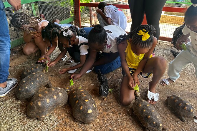 Connors Farms Petting Zoo - A farm visit with more than animal pens