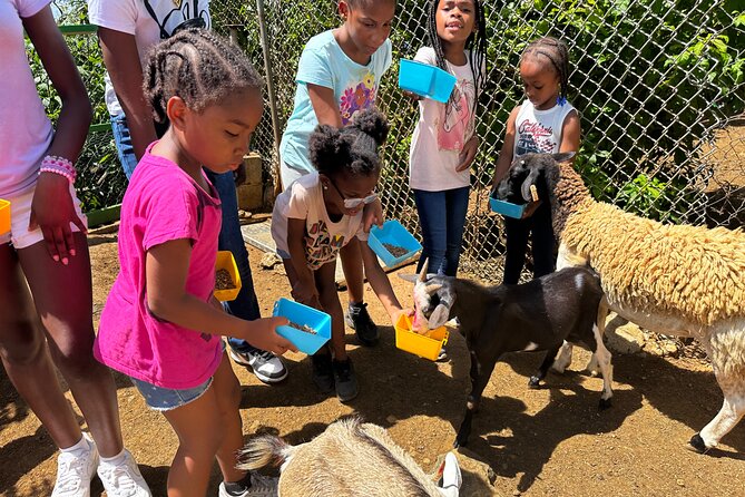 Connors Farms Petting Zoo - Who will enjoy Connors Farms most?