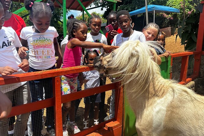 Connors Farms Petting Zoo - The drive up Black Point Hill