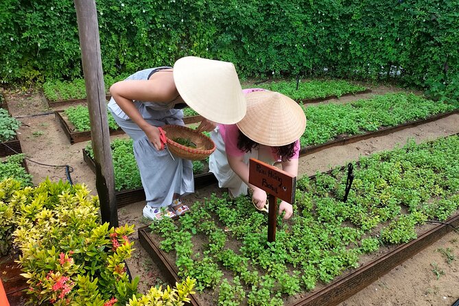 Cooking Class Hoi An - Organic Garden - Farming Tour-Handicrafts - Learning rice paper and preparing three or four dishes