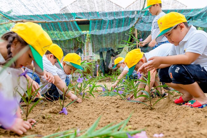 Cooking Class Hoi An - Organic Garden - Farming Tour-Handicrafts - Folk games and the village atmosphere