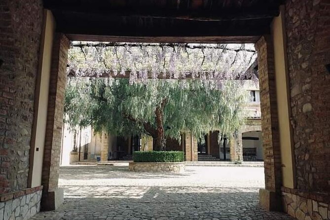 Cooking Class in a historic sicilian farmhouse - Making three shapes of Sicilian pasta