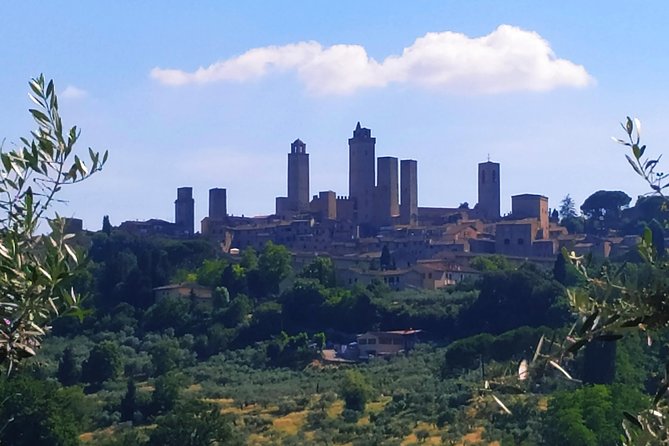 Cooking Class in a Real Tuscan Farmhouse - Arriving at Agriturismo Le Bonatte in Chianti