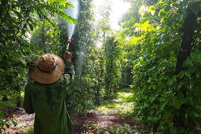 Cooking, Farming and Waterfall In Vietnam Countryside - A countryside day beyond Buon Ma Thuot