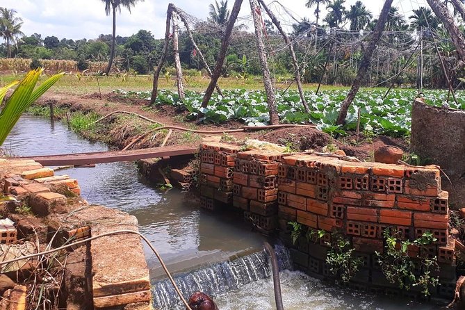 Cooking, Farming and Waterfall In Vietnam Countryside - Seeing how weasel coffee fits into the farm visit