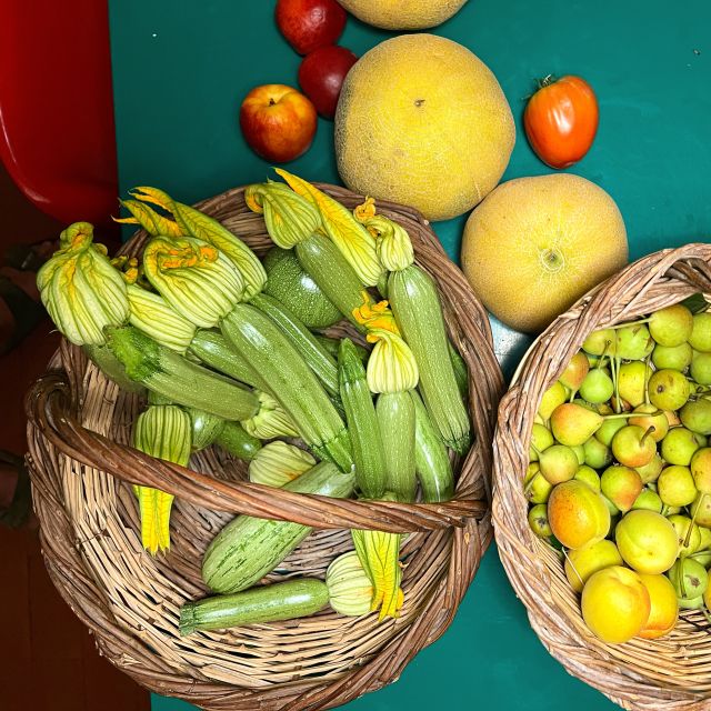 Corfu: Organic Olive Oil Farm Tour with Transfer and Tasting - Walking among Corfu’s olive trees