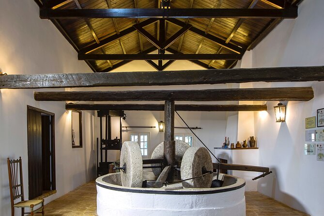 Corfu Organic Olive Oil Tasting at Family Farm - Is this Corfu farm visit worth booking?