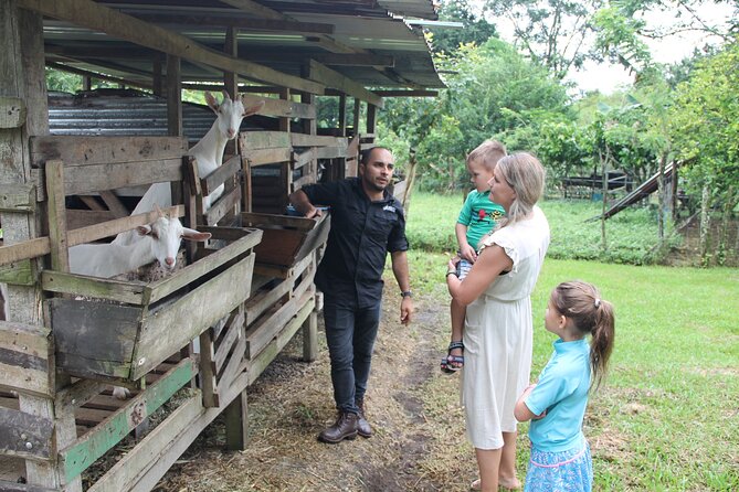 Costa Rica Descents Organic Farm - Key things to know before you go