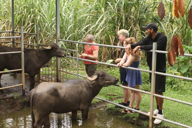 Costa Rica Descents Organic Farm - What you learn about organic farming in La Fortuna