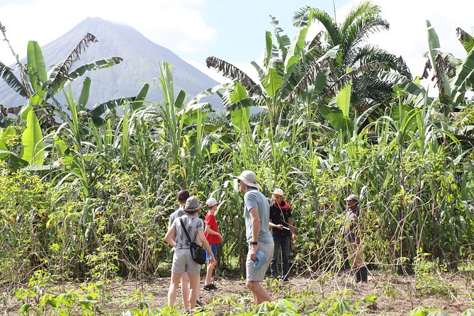 Costa Rica Descents Organic Farm - The guides shape the experience