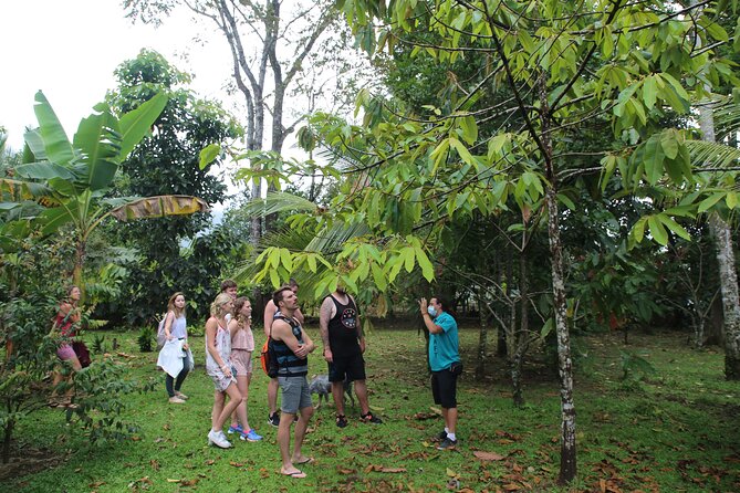 Costa Rica Descents Organic Farm - Seasonality, distribution, and the food on your plate