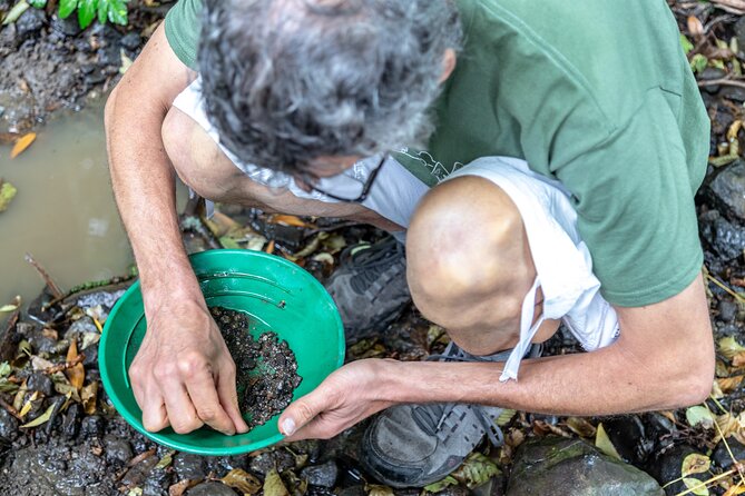 Countryside, Czech Garnet Panning, Farm,Lunch&Beer 4WD Adventure - Who Will Enjoy This Outing Most?