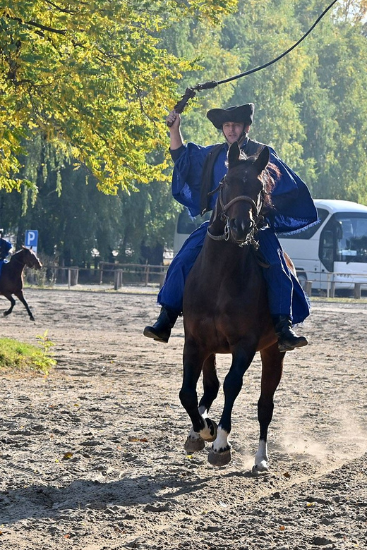 Countryside ranch, horse show & lunch - Goulash, strudel, and a taste of palinka