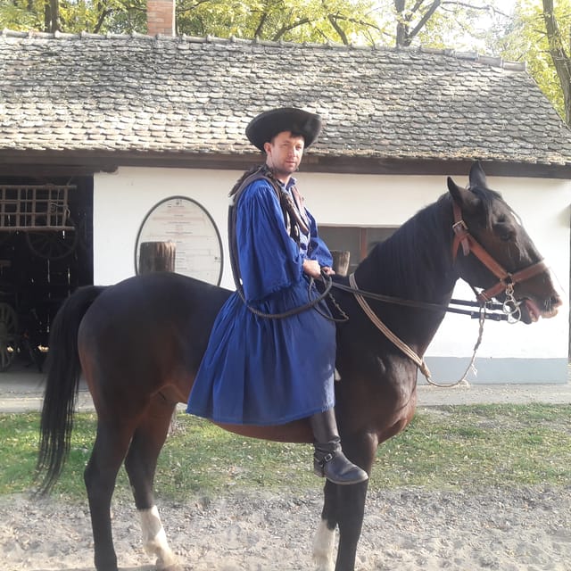Countryside ranch, horse show & lunch - Is $127 a fair price?