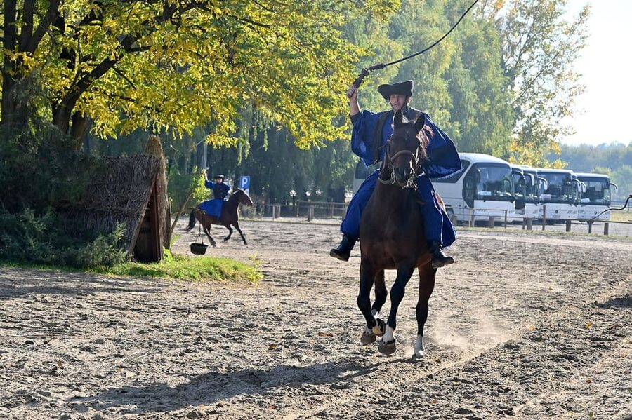 Countryside ranch, horse show & lunch - Who will enjoy this half-day outing?