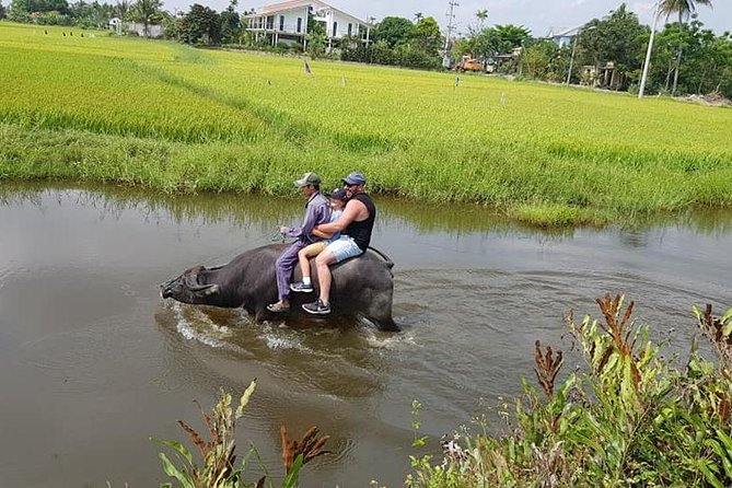 Countryside Tour of Hoi An, Basket Boat, Buffalo ride, Farming with local Farmer - Weather, guides, and the feel of the day