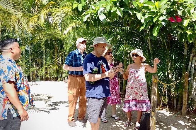 Cozumel: Hands-On Chocolate, Tortilla, Salsa & Honey Experience - Pressing fresh dough into tortillas