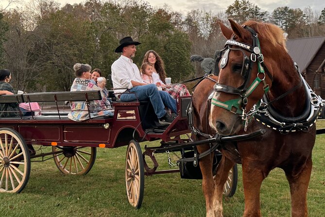 Cozy Farm Experience with Wagon Wheels and Acoustic Meal - The Horse-Drawn Wagon to the Fire Pit