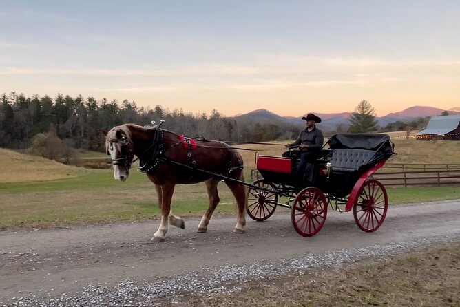Cozy Farm Experience with Wagon Wheels and Acoustic Meal - Who Will Enjoy This Experience Most